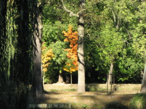 Mieszkania na sprzedaż Pruszków